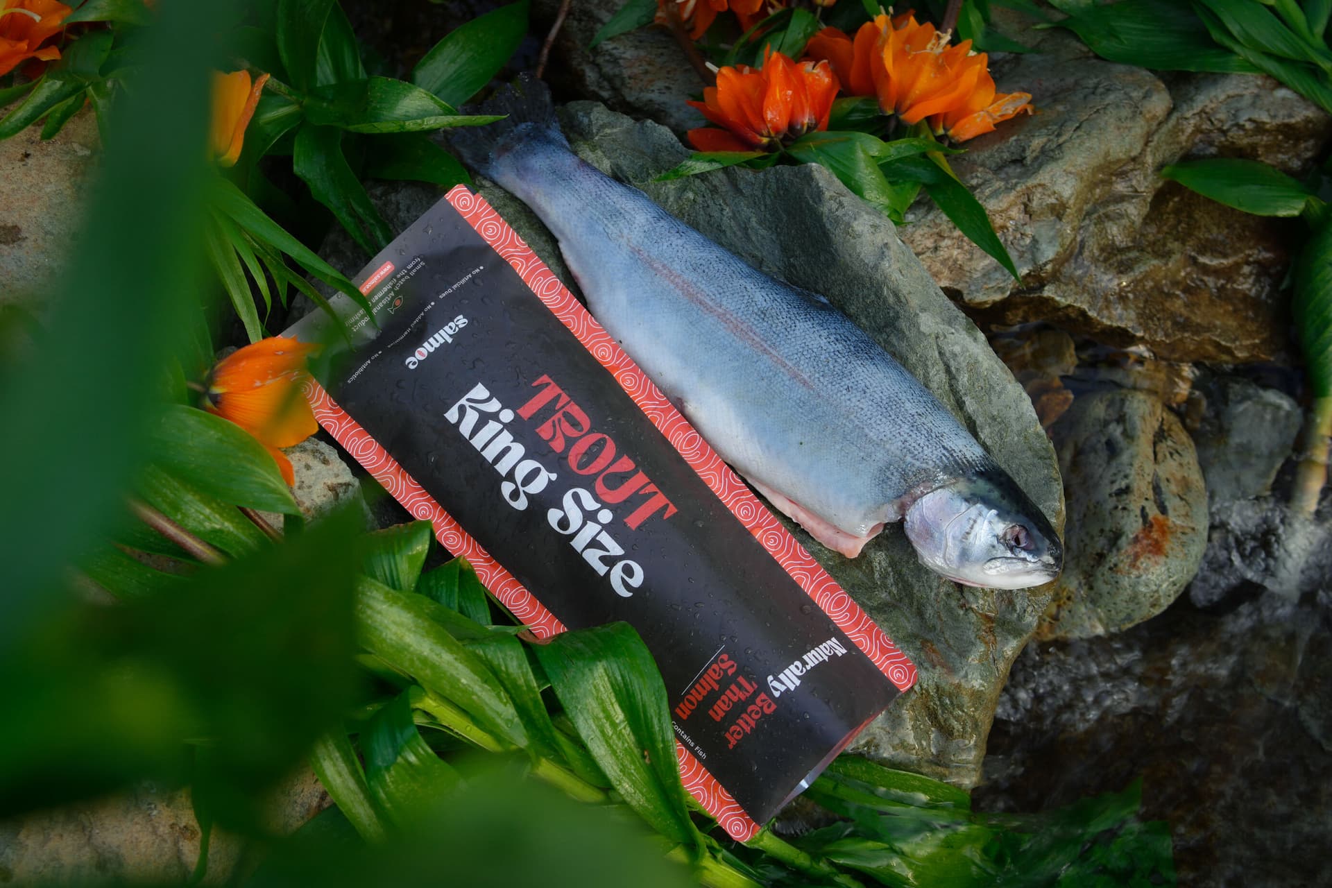 King Size Trout