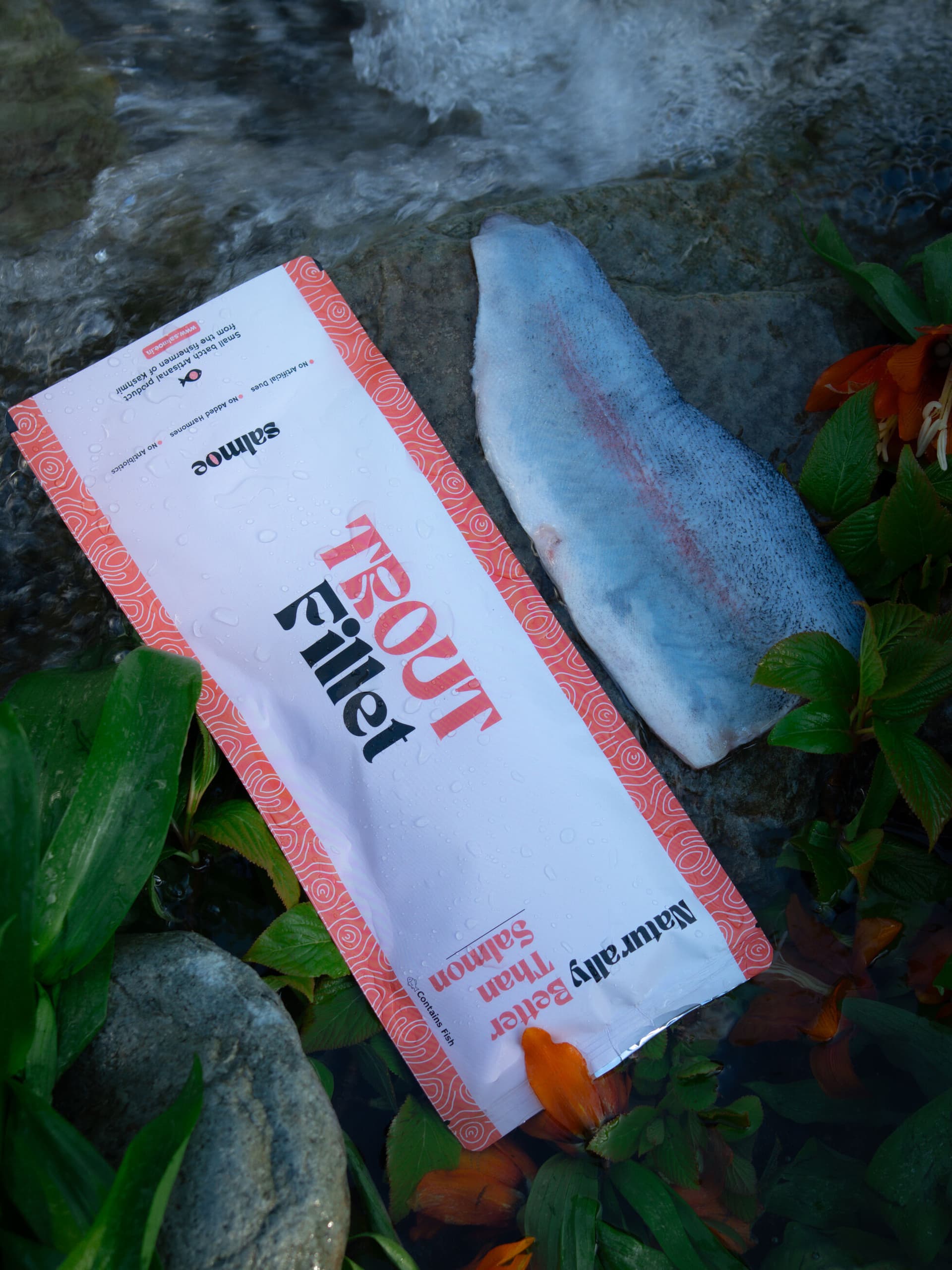 Trout Fillet