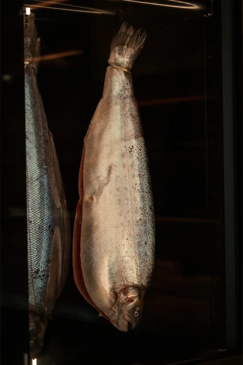Trout from the Salmoe cold rooms